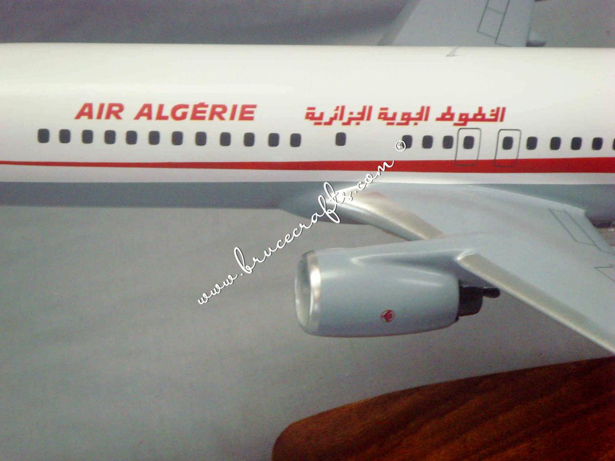 Mini-métal 'Air Algerie ' B737-800 l'échelle 1 : 250 16cm maquette
