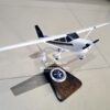 Model of Cessna 172 SFC (VH-LTL) with detailed craftsmanship.